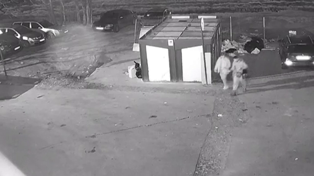 Doi bărbați din Iași, căutați după ce au dat foc unor pubele. În câteva secunde au produs o pagubă de mii de euro