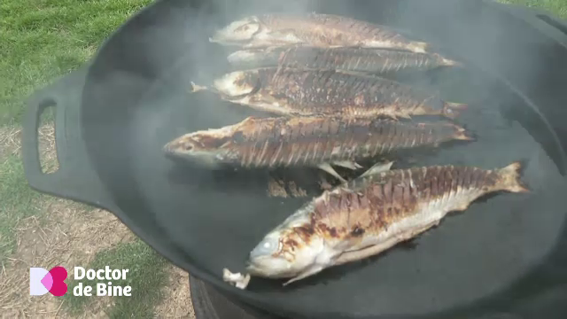 Forța naturii. Grăsimile din sânge pot fi învinse tot cu grăsime, care devine medicament. Sursa este peștele
