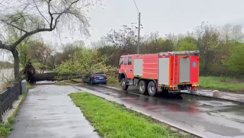 Un copac mare a căzut peste o mașină care circula pe Splaiul Unirii din București. Șoferul a fost rănit. FOTO