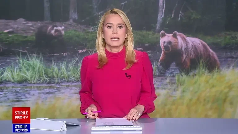 România are o populație de urși de trei ori mai mare decât nivelul optim, afirmă, preliminar, Ministrul Mediului