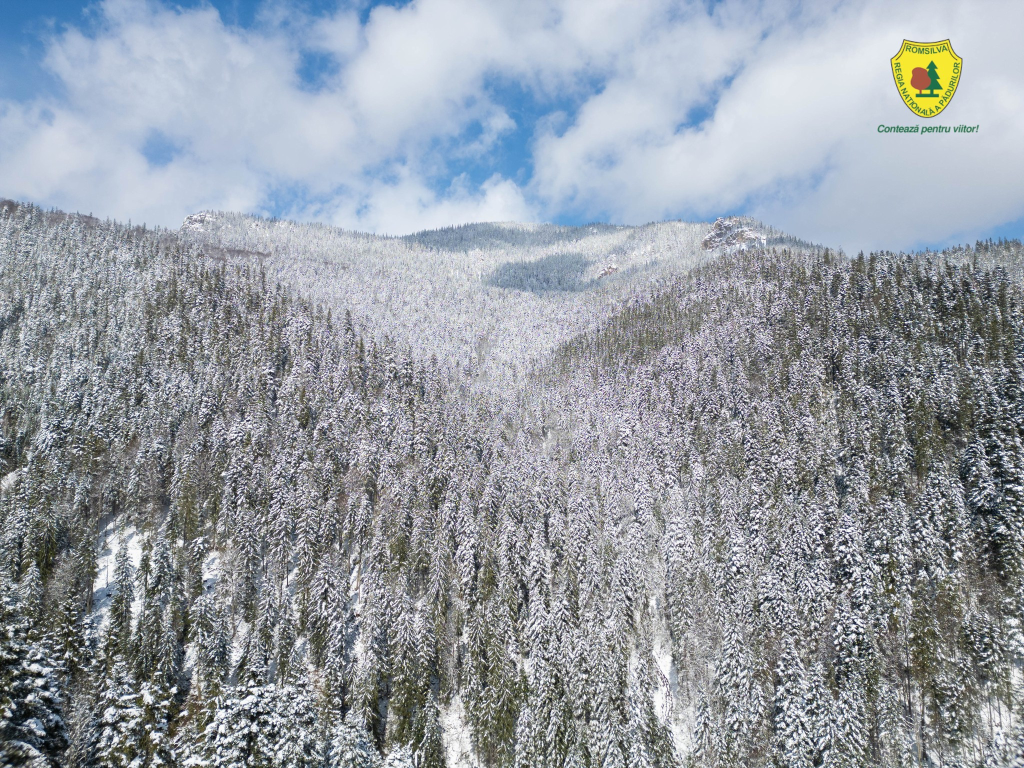 Statul român a făcut cea mai mare achiziție de acest fel din istoria sa. Suma uriașă plătită pentru comoara din Neamț | FOTO