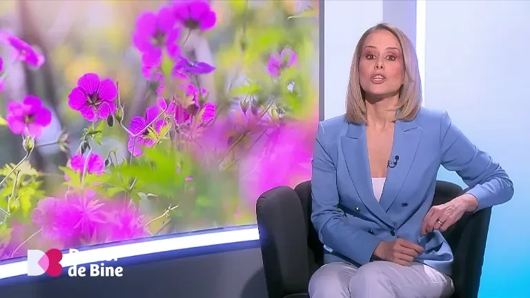 Alimentul perfect e peștele, care hrănește și hidratează în același timp. Care e explicația