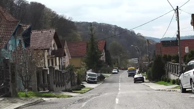 O ursoaică cu 3 pui și-a făcut apariția într-un cartier din Sighișoara. Primar: ”Suntem pregătiți pentru orice scenariu”