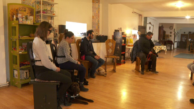 Câini-ghid în pregătire și persoane nevăzătoare au legat prietenii în cadrul unei tabere speciale, în Munții Făgăraș