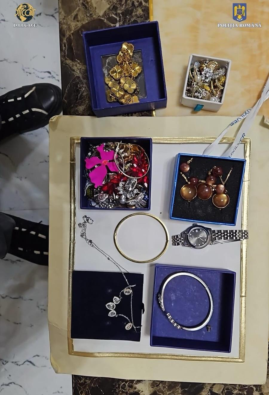 Percheziţii în Țăndărei la suspecţi de furturi şi tâlhării comise în Spania. Cu banii și-au cumpărat imobile şi maşini de lux