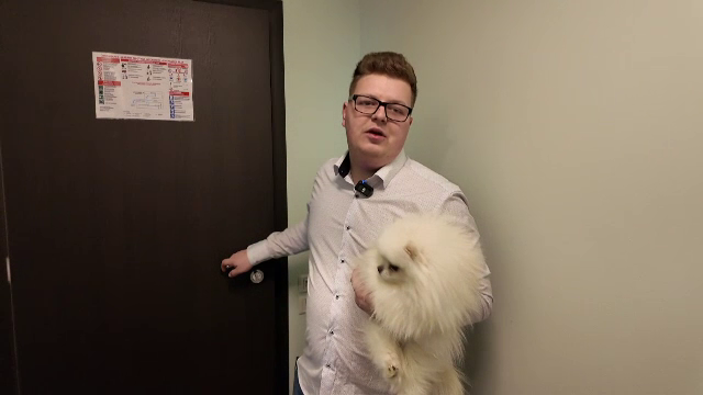 Și prietenii necuvântători merită o vacanță. Ce servicii oferă unii hotelieri pentru pisicuțe și cățeii de companie