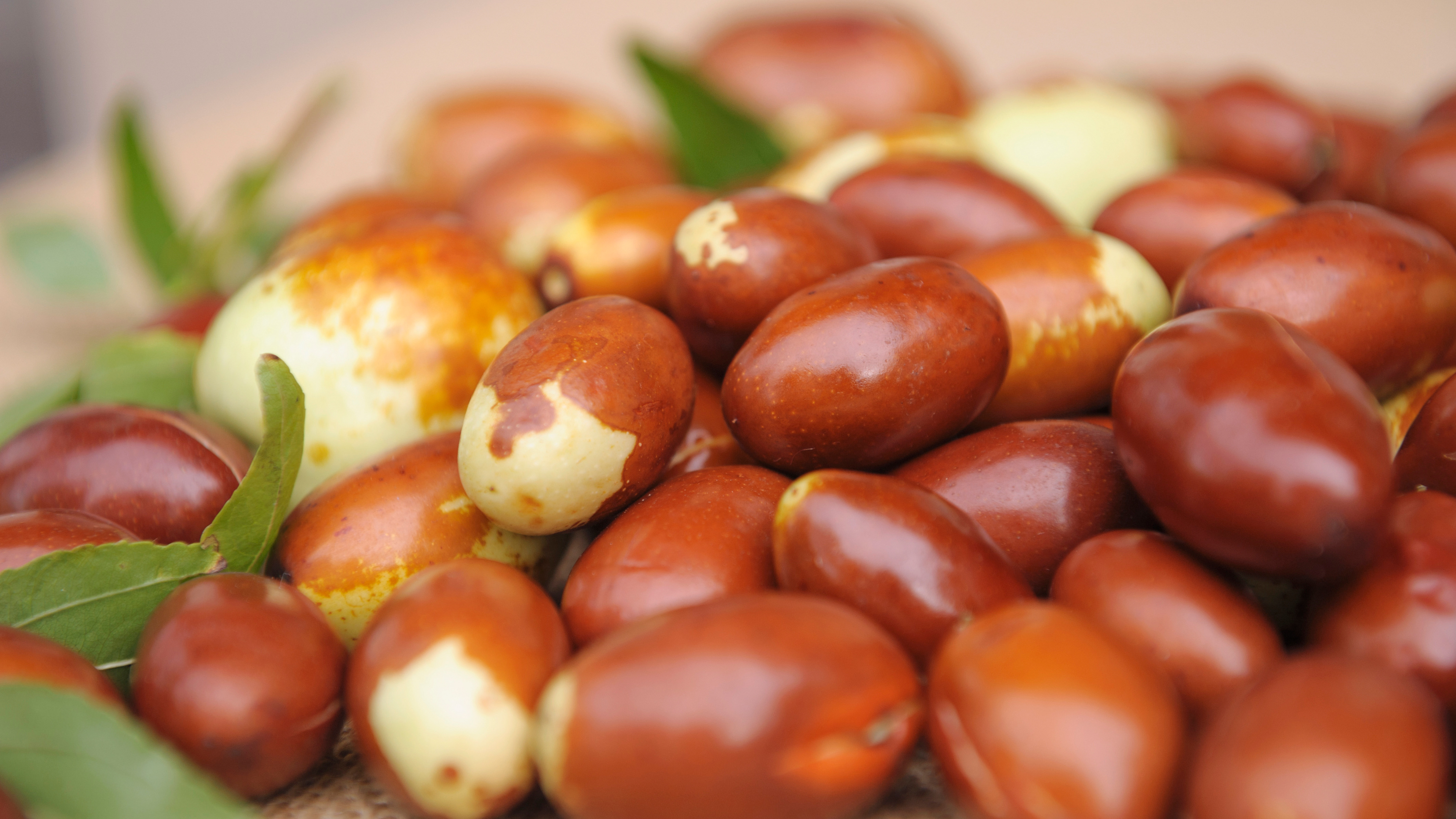 Porumbul rezistent la secetă, arahidele și fasolița ar putea salva agricultura românească de la dezastru. “Avem și curmale”