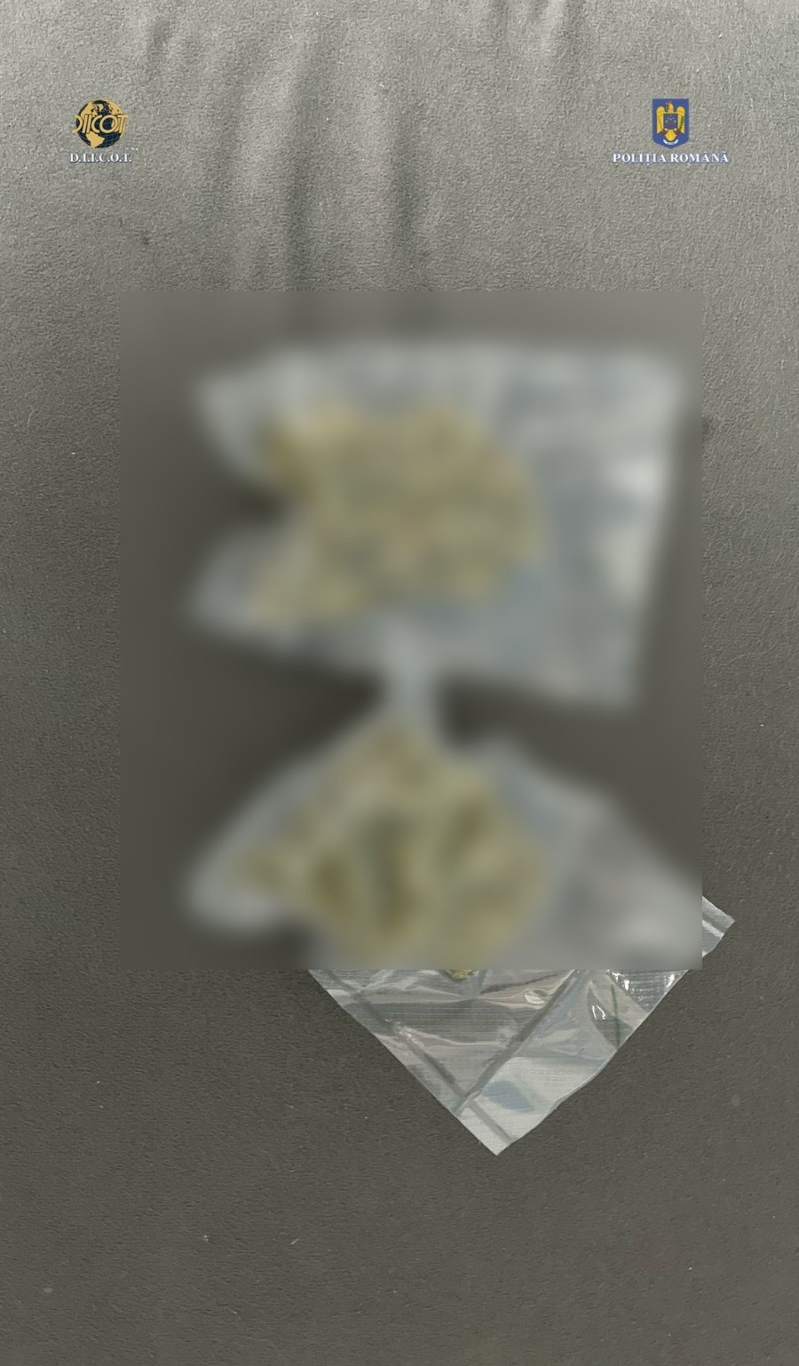 Ce au descoperit procurorii DIICOT în urma unor percheziții în Mehedinți și Ilfov. Surprize din ouă Kinder. FOTO