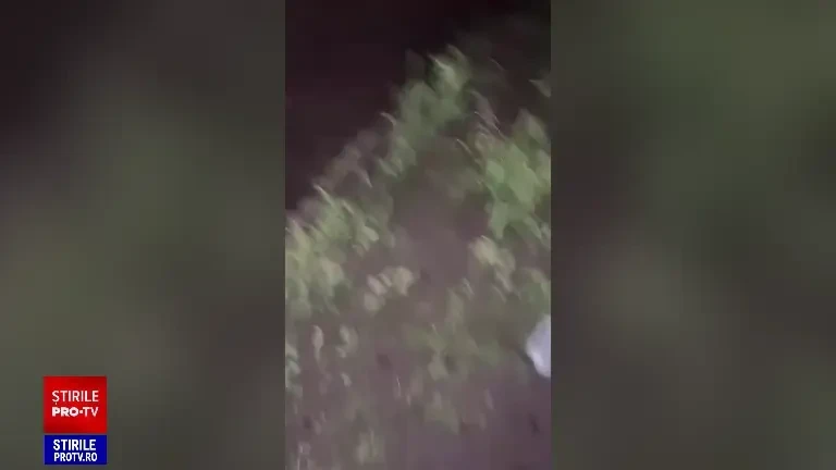 Un pasager carbonizat și doi răniți grav într-un accident teribil produs de un tânăr de 19 ani în Caraș Severin. VIDEO