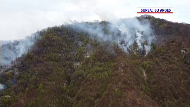 Incendiu devastator în Argeș. 10 hectare de pădure au fost mistuite de flăcări