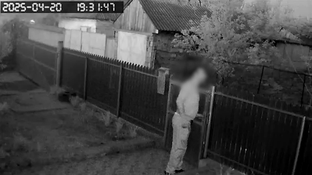 Bărbatul din Tulcea care a ucis cu bâta doi căței, supărat că i-au speriat copilul, a fost reținut