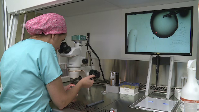 Peste 10.000 de cupluri sau femei singure vor putea beneficia de 15.000 de lei pentru fertilizare in vitro