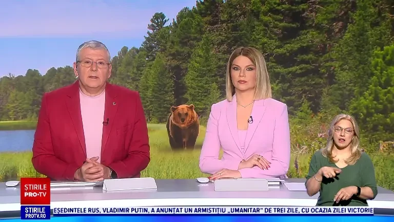 Povestea dramatică a fetei care a murit la Frumoasa fugind de urs: „A zis că nu se teme de nimic în viață, decât de urs”