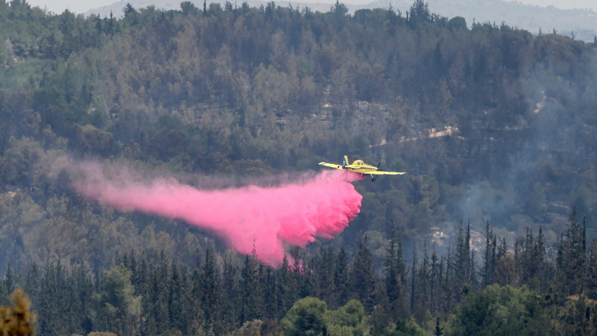 Israelul cere ajutor internațional, din cauza unui incendiu puternic de vegetație. România a trimis deja două avioane