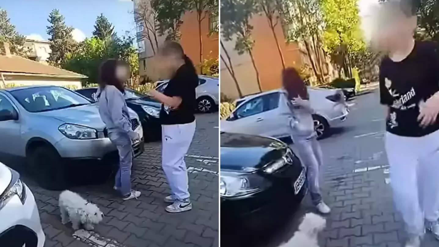 O adolescentă care îşi plimba câinele a fost bătută cu sălbăticie de o fată de 12 ani, în Alba Iulia