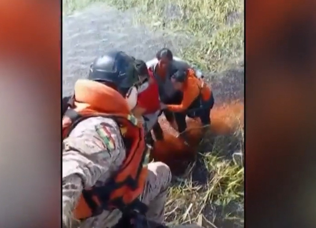 Cinci pasageri ai unui avion, blocaţi într-o mlaştină plină cu caimani după o aterizare de urgenţă. Ce a urmat | VIDEO