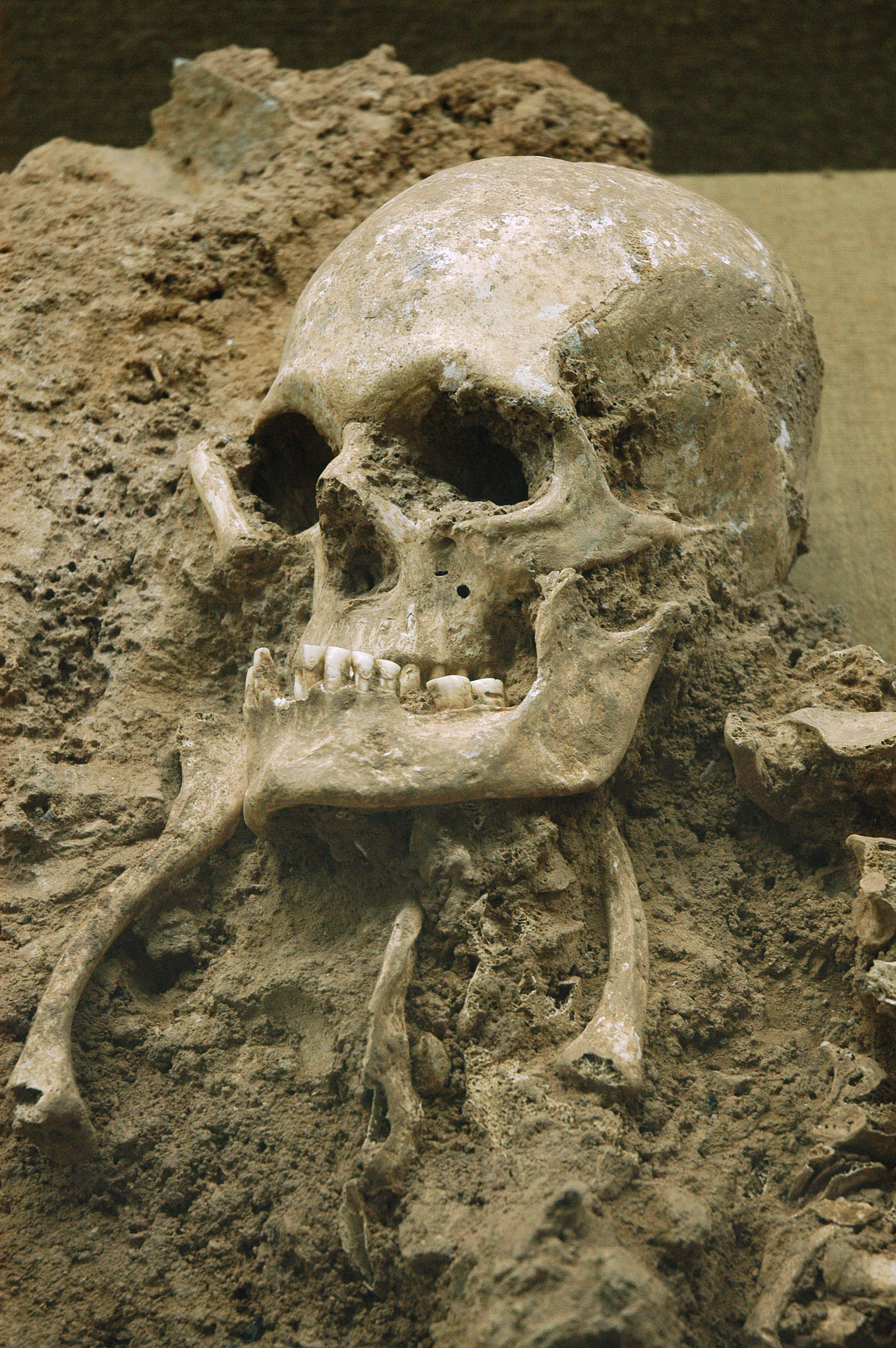 Descoperirea care schimbă credința. Un dinte și un os găsite de arheologi au schimbat o latură fundamentală a creștinismului