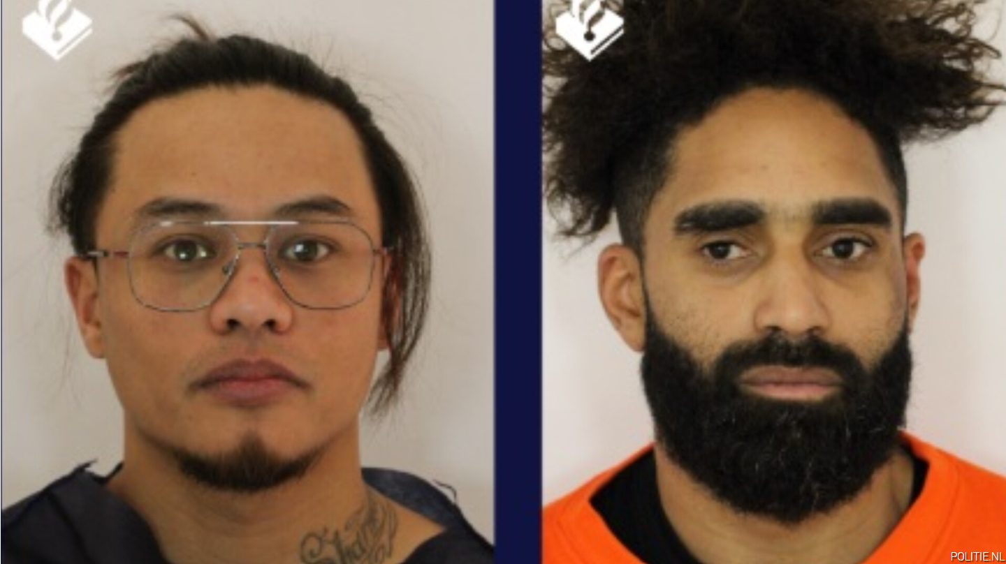 Doi suspecți în cazul furtului pieselor din tezaurul dacic, aduși în fața unui tribunal olandez