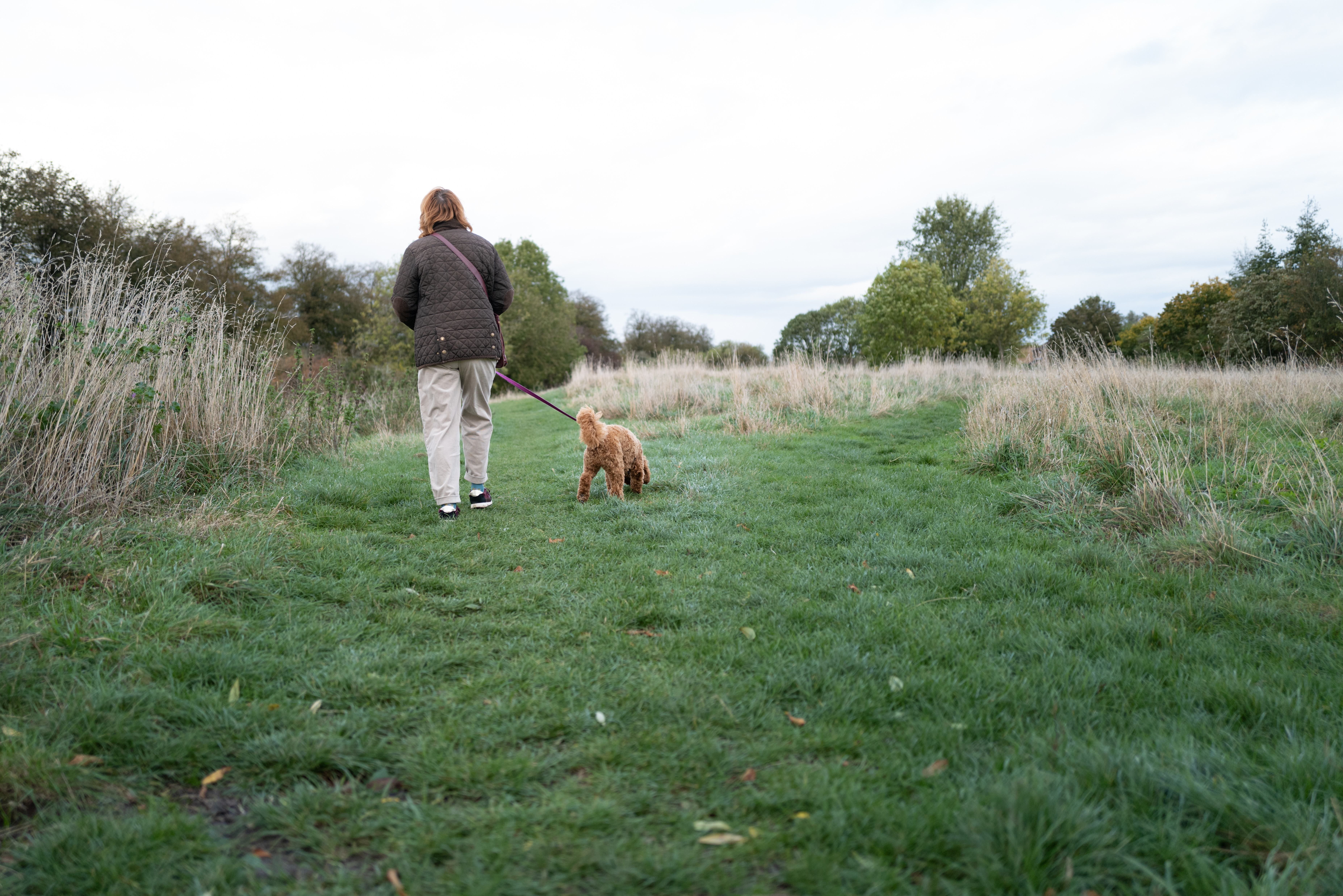Zeci de persoane au ajuns la spital din cauza căpușelor, în Brașov. Mușcătura gestionată greșit poate avea consecințe grave