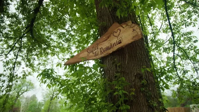 (P) Profi a organizat Suflet de România, festivalul care conectează generațiile la lumea satului autentic