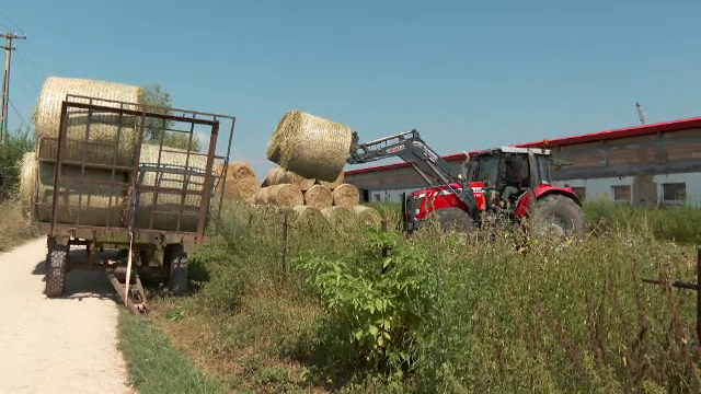 Rabla pentru tractoare, blocată de propriul succes: 3,3 milioane de accesări în 7 doar minute