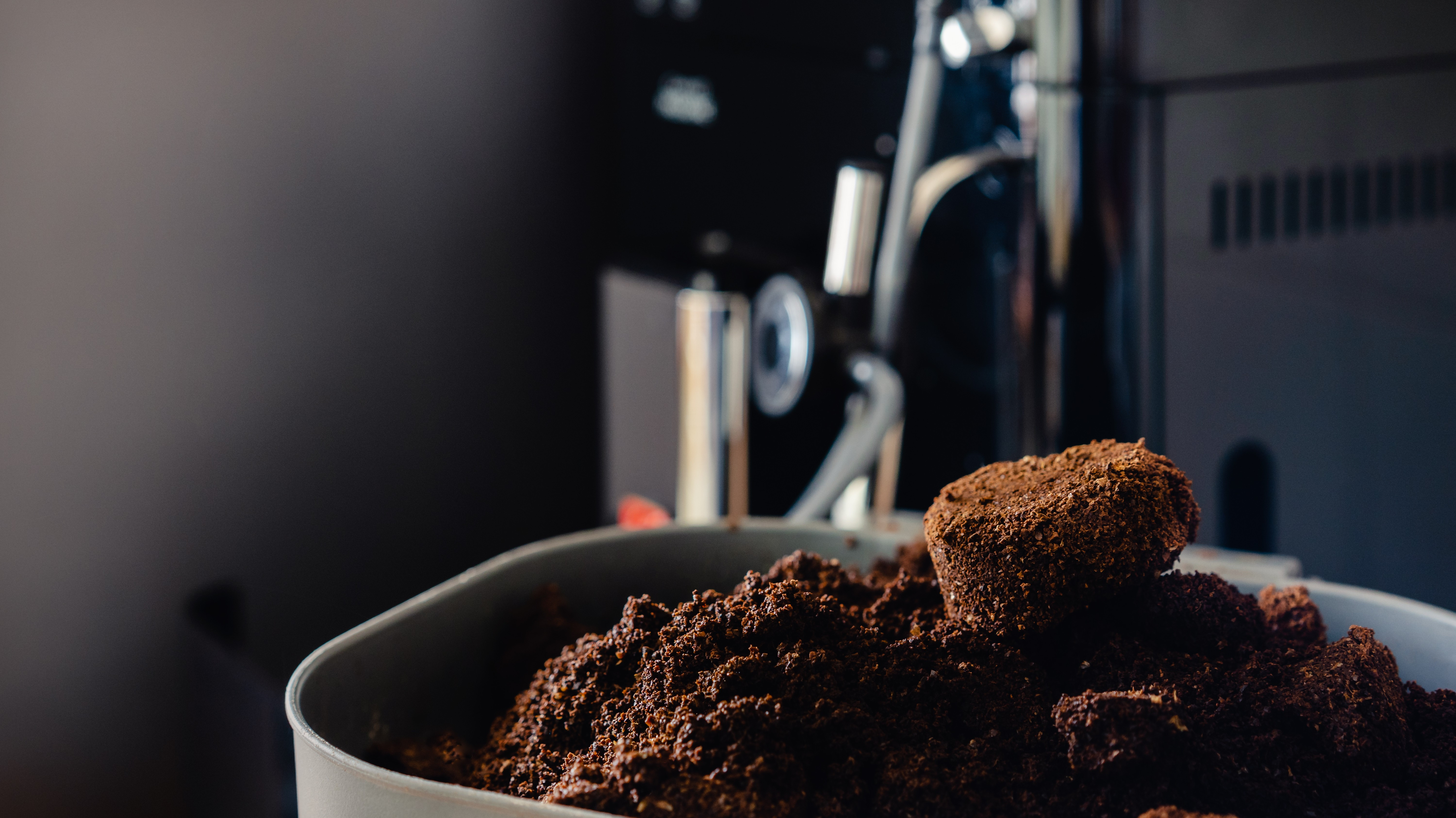 O companie românească ar putea revoluționa piața construcțiilor, cu un material ecologic făcut din zaț de cafea și ciuperci