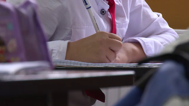 Românii care își înscriu copiii la școală pe baza vizei de flotant, luați în vizor de ministrul Educației