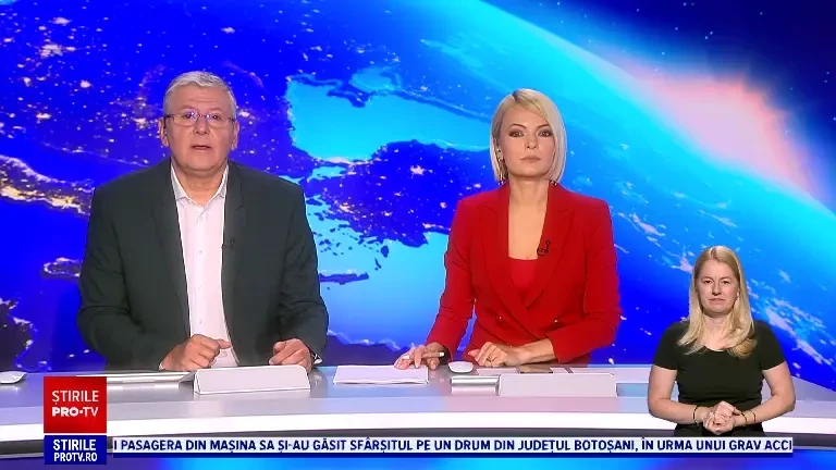 Urșii sunt tot mai prezenți pe străzile din Târgu Mureș. Strategia de relocare nu funcționează