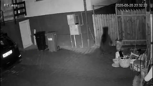 Oamenii dintr-o localitate din Mureș trăiesc cu frica urșilor care intră în curți în căutare de hrană. „Ne păzim”