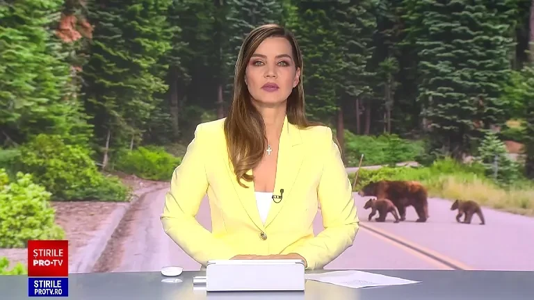 Oamenii dintr-o localitate din Mureș trăiesc cu frica urșilor care intră în curți în căutare de hrană. „Ne păzim”