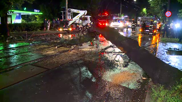 Vremea rea a provocat stricăciuni și în București. Un copac s-a prăbușit peste o mașină aflată în mers