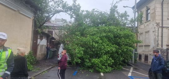 Copac prăbușit peste patru mașini &icirc;n Sectorul 1 al Capitalei.