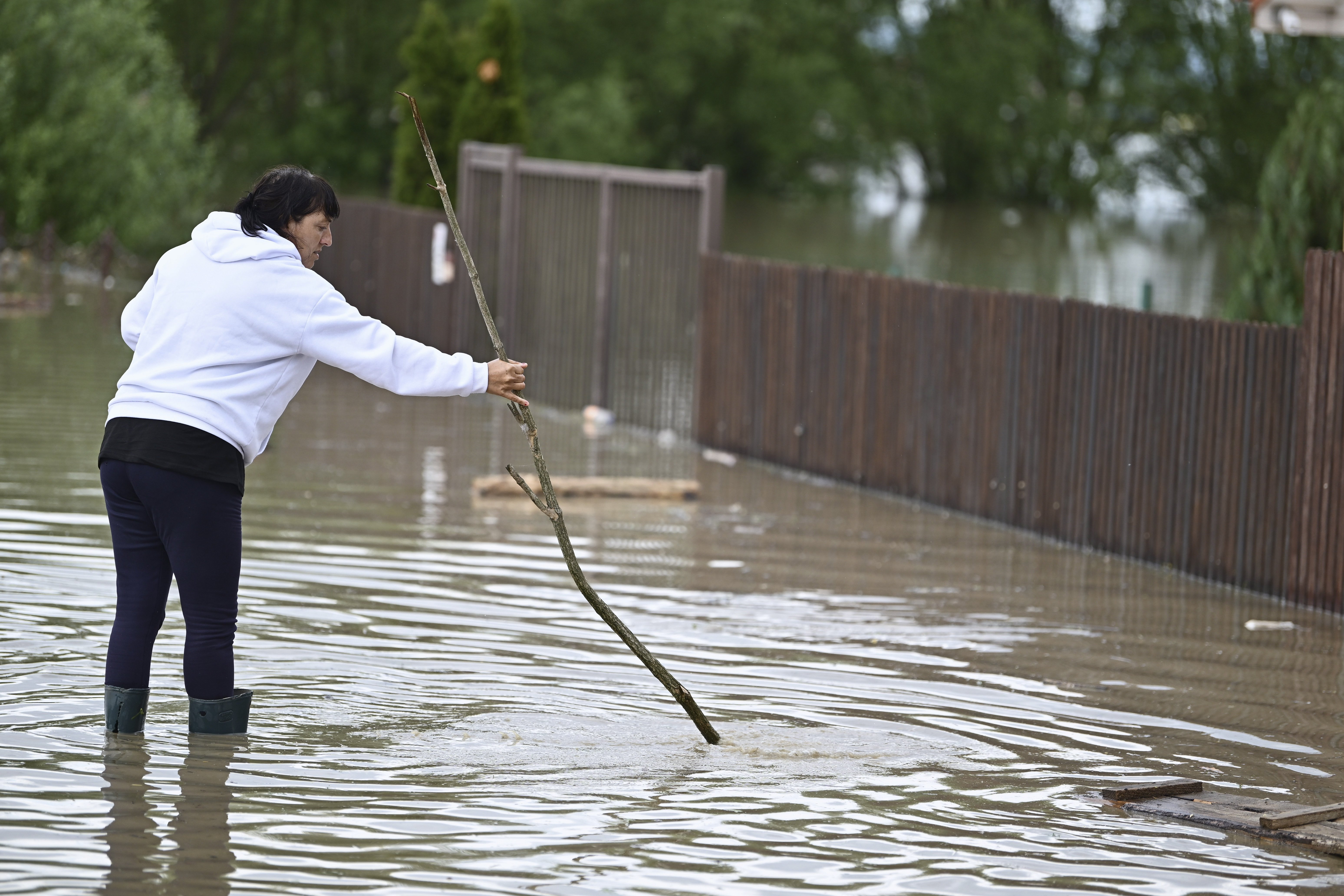 Cod galben de viituri pe râuri din cinci judeţe, luni şi marţi. Avertismentul hidrologilor