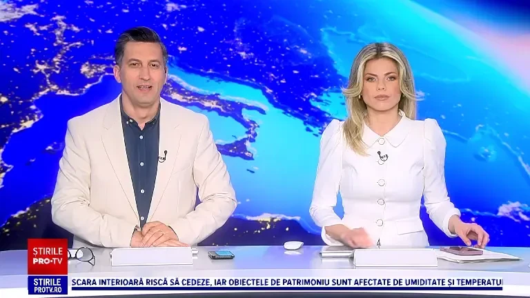 Surpriză de proporții în Cape Town. O focă-elefant s-a plimbat pe mijlocul străzii