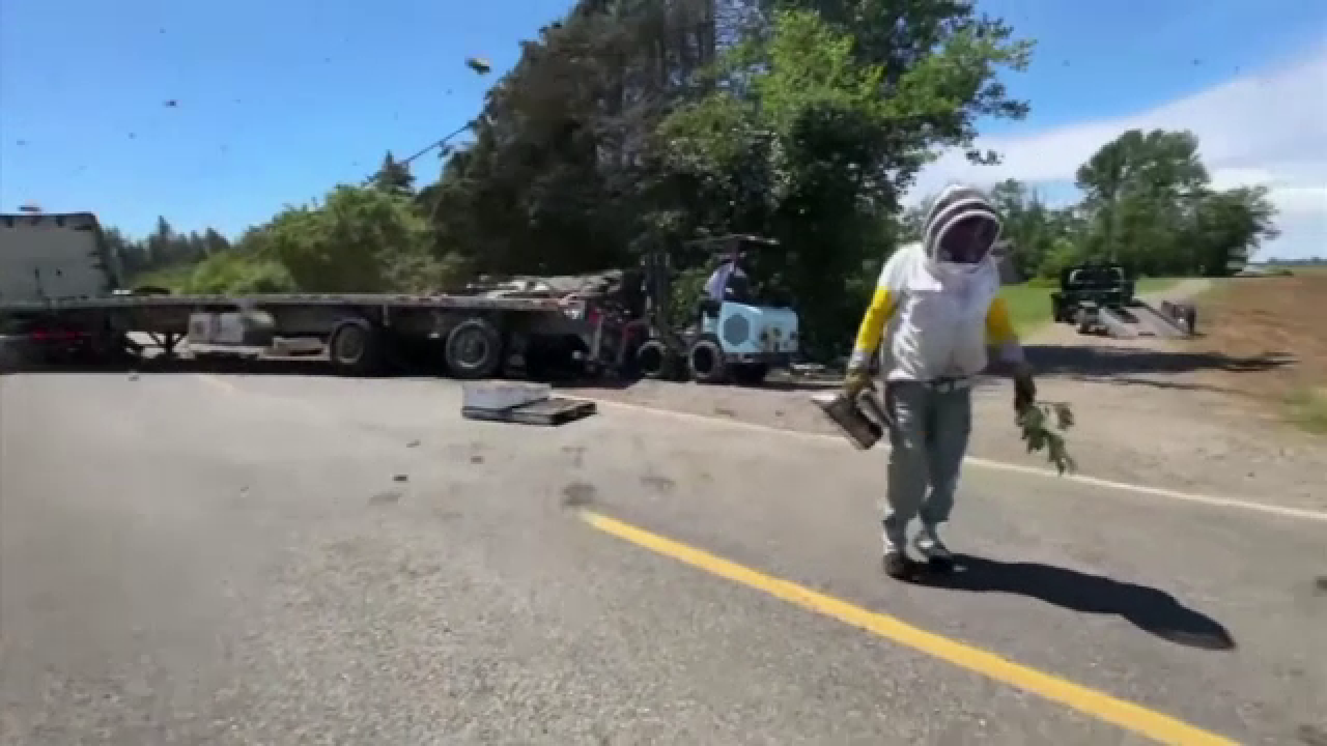 Peste 250 de milioane de albine eliberate după un accident. Apicultorii, mobilizare de urgență, în SUA