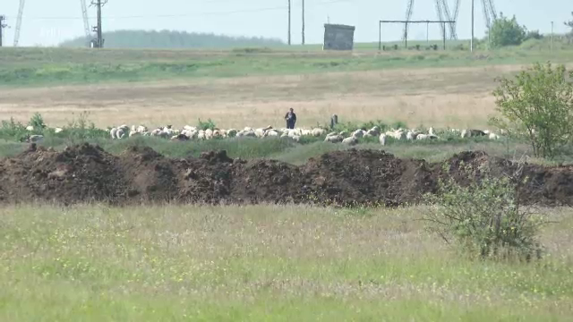 Un cioban din Rădești a fost ucis, în urma unei dispute cu alți oieri. A fost reținut un tânăr de 23 de ani