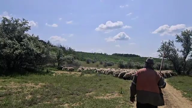 Crima din județul Galați. De la ce ar fi pornit scandalul dintre cei doi ciobani. „Cine scoate sabia, de sabie moare”