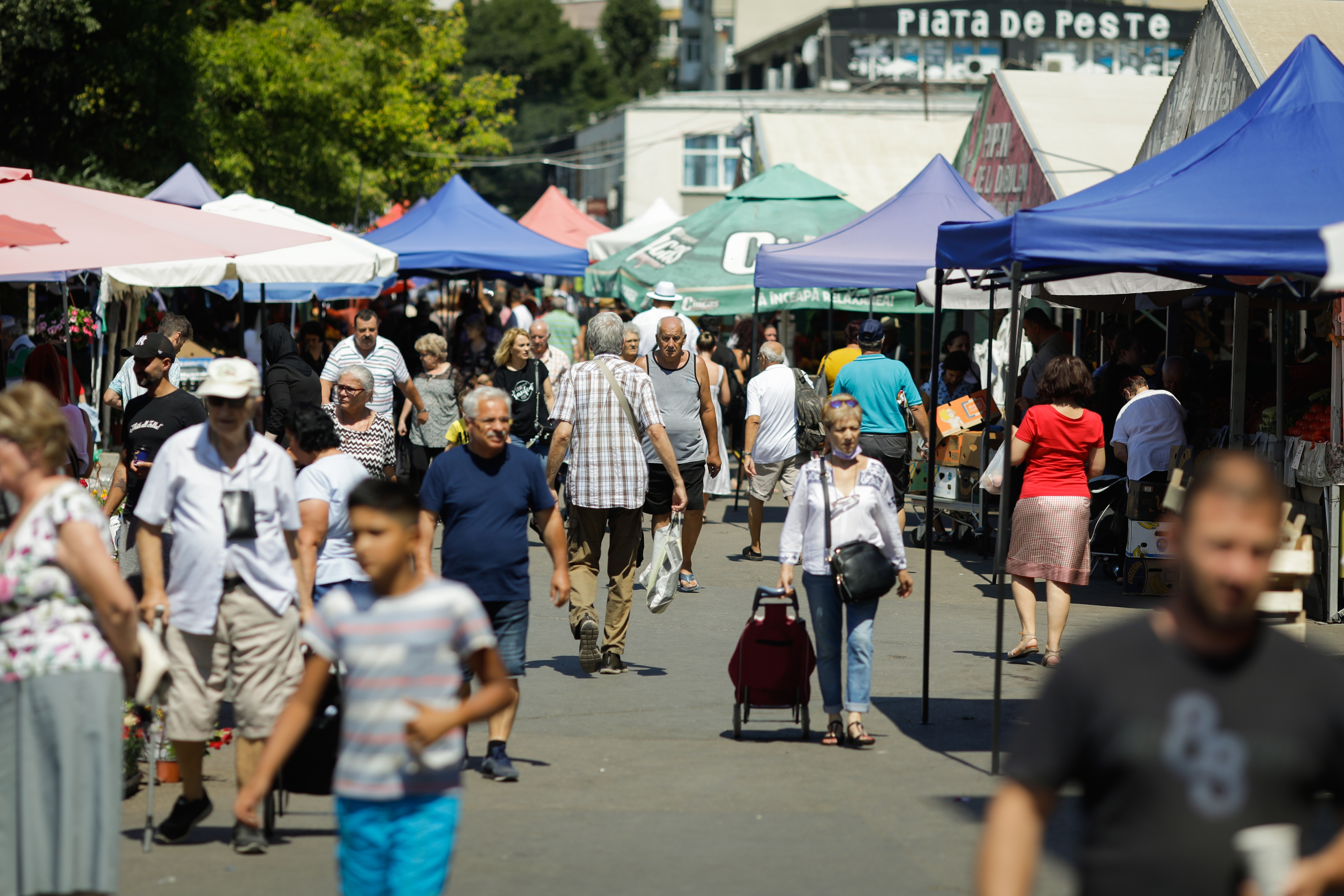 PSD propune taxă pe veniturile mari şi foarte mari, inclusiv pe pensii speciale, și impozitare progresivă pe toate veniturile