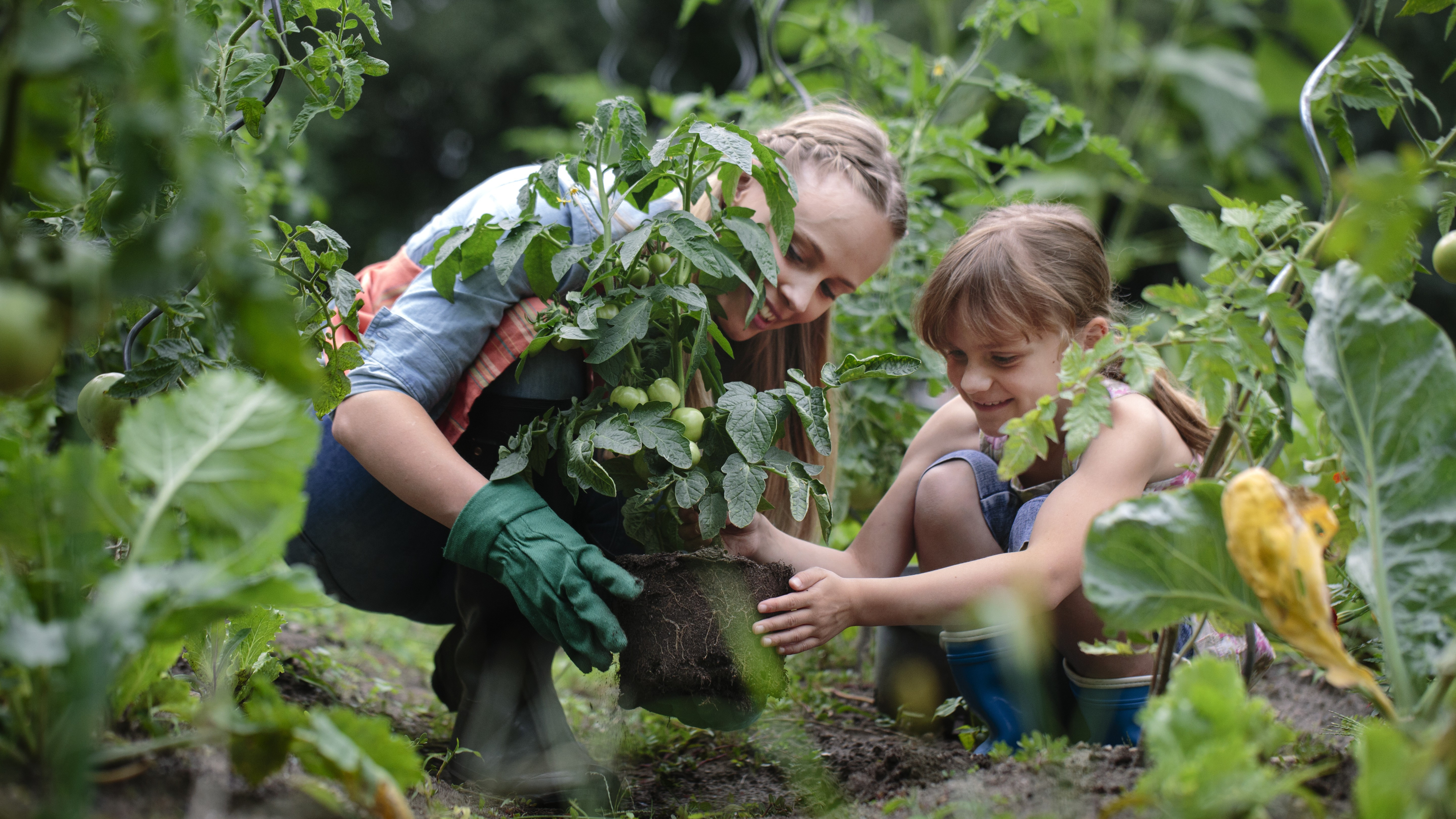 Când școala prinde rădăcini: cum învață copiii din România despre mediu cu mâinile în pământ