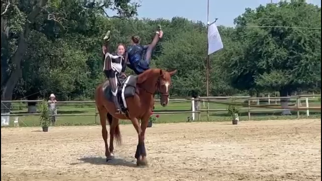 Competiție de voltije la Oradea. Printre concurenți s-au aflat și campioane naționale. „Un sport extraordinar”