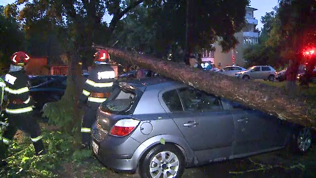 Târgu Mureș, lovit de o furtună violentă după caniculă. Copaci doborâți și zeci de apeluri la 112
