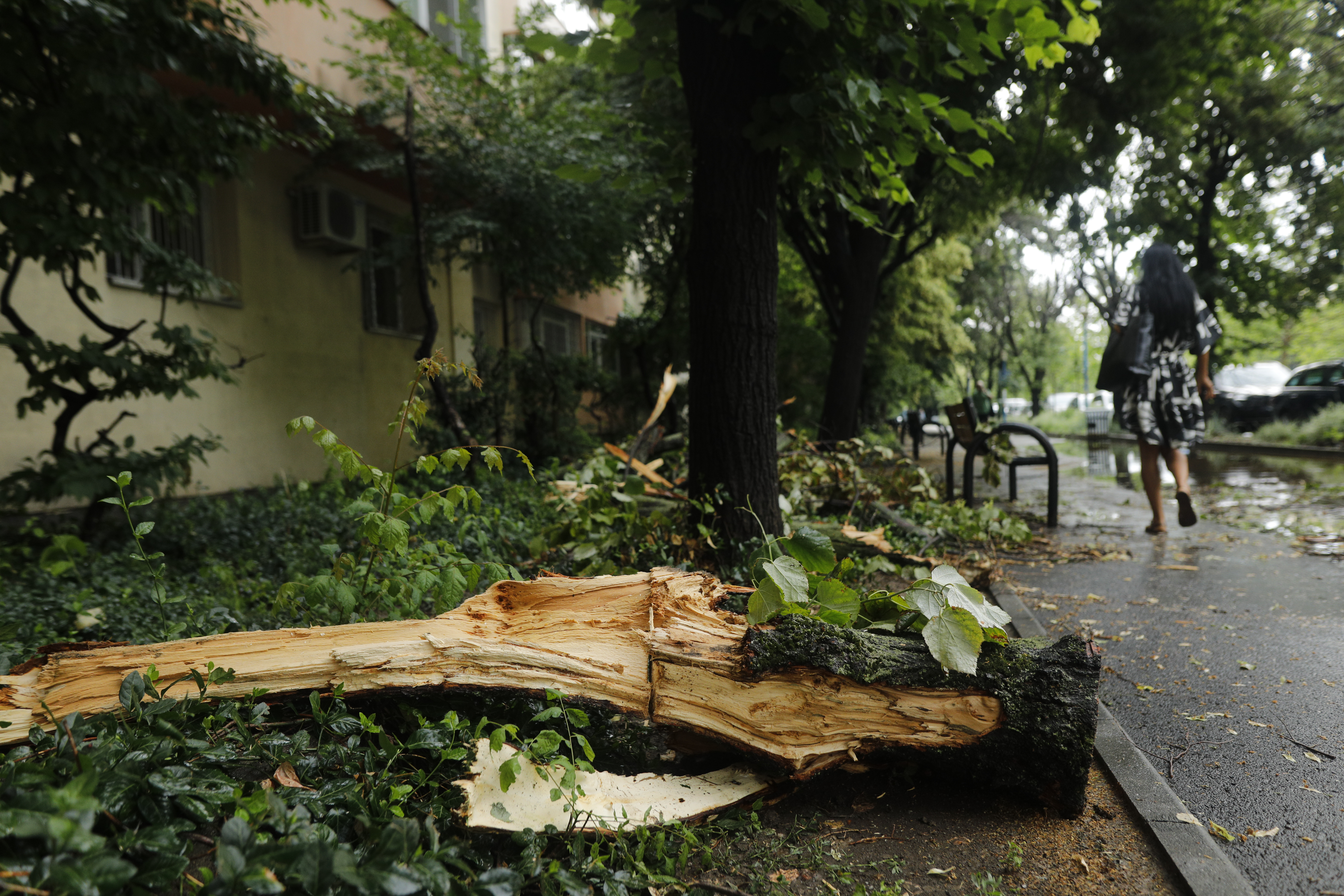 Ministrul mediului, după ploile torențiale: „Nu mai e vorba despre dacă se va întâmpla din nou, ci când şi cât de rău va fi”