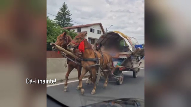 Căruță pe contrasens în Argeș, spre groaza șoferilor. Imaginile s-au viralizat pe rețelele de socializare