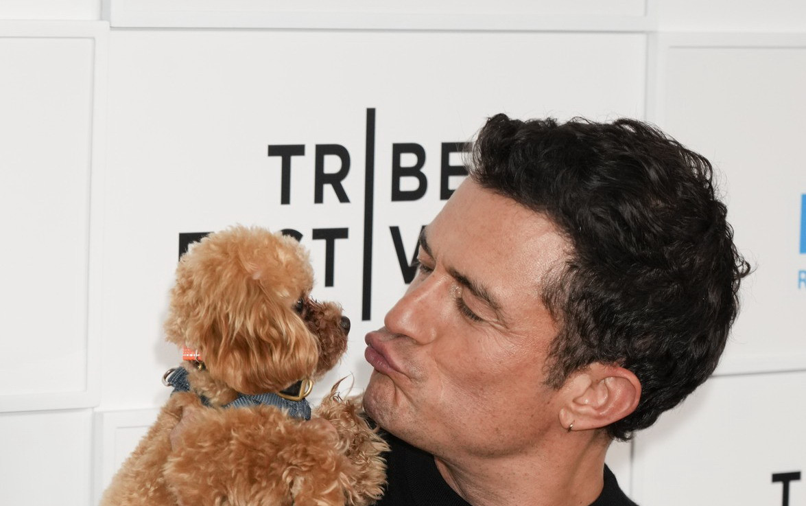 Orlando Bloom a atras din nou toate privirile. Cum a apărut alături de câinele său pe covorul roșu. GALERIE FOTO