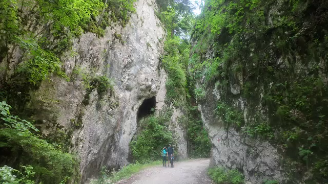 Munții, destinația preferată a verii. Zeci de turiști au făcut drumeții lângă Brașov. „Am venit la răcoare”