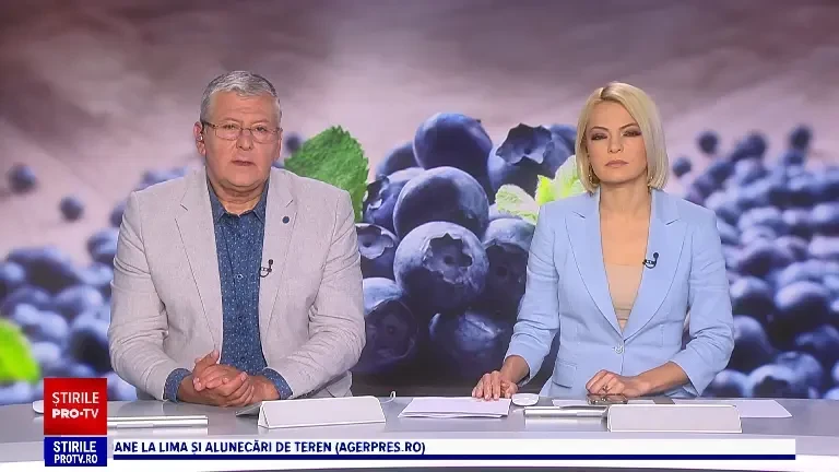 România, printre marii producători de afine. Culturile bio se extind rapid, susținute de fonduri europene