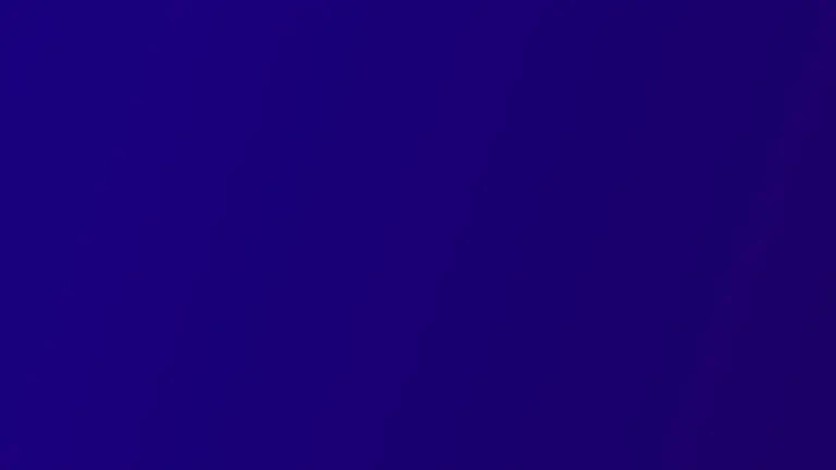 Mihai Pătrașcu (EvoMag): Viitorul e-commerce-ului este în magazinele de nișă