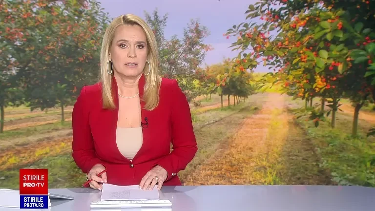 Vara aceasta va fi o provocare să găsim fructe bune și ieftine. Temperaturile mici din primăvară și vijeliile din ultima perioadă au redus drastic producțiile din multe livezi