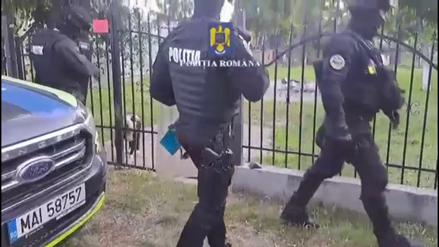 Opt câini de rasă, folosiți la lupte ilegale într-o curte din Prahova. Ce s-a găsit în telefonul Bărbatului care îi antrena