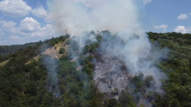 Incendiu de vegetație în Mehedinți. Pompierii s-au luptat ore în șir cu flăcările după ce o femeie a dat foc ierbii uscate
